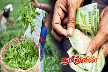 பெருந்தோட்டத் தொழிலாளர்களின் சம்பள உயர்வு ஒப்பந்தம் தொடர்பில் வெளியான தகவல்