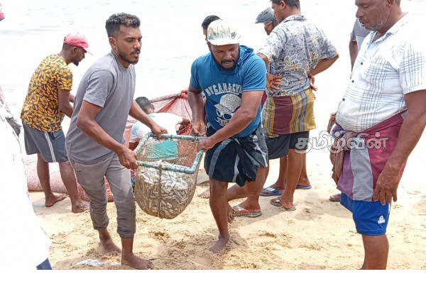 கடலரிப்பு அச்சுறுத்தல்:நிந்தவூரில் பாதிக்கப்பட்ட கடற்றொழிலாளர்கள் சிரமம் | Sea Erosion Fishermen In The Affected Ninthavoor