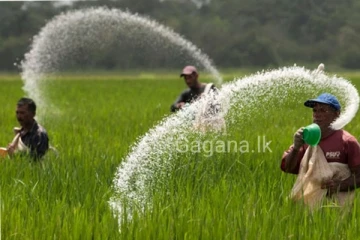 ගොවීන්ට සතුටුදායක ආරංචියක්..නොමිලේ පොහොර දෙන්න යයි..ලැබෙන දිනය මෙන්න..