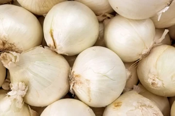 வெள்ளை வெங்காயம் இத்தனை மருத்துவ பயன்களை கொண்டதா?