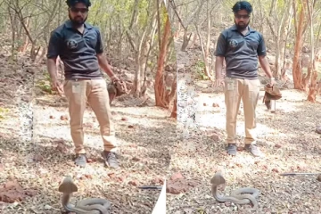 Viral Video: பாம்பிற்கு உதவி செய்த நபர்... படமெடுத்து கோபத்தை வெளிக்காட்டிய காட்சி