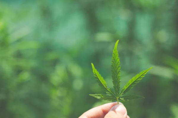 கண்டிப்பான நிபந்தனைகள்! உள்ளூர் முதலீட்டாளர்களுக்கும் வாய்ப்பு வழங்க அரசாங்கம் திட்டம் | Cabbins In Sri Lanka கண்டிப்பான நிபந்தனைகள்! உள்ளூர் முதலீட்டாளர்களுக்கும் வாய்ப்பு வழங்க அரசாங்கம் திட்டம் | Cabbins In Sri Lanka