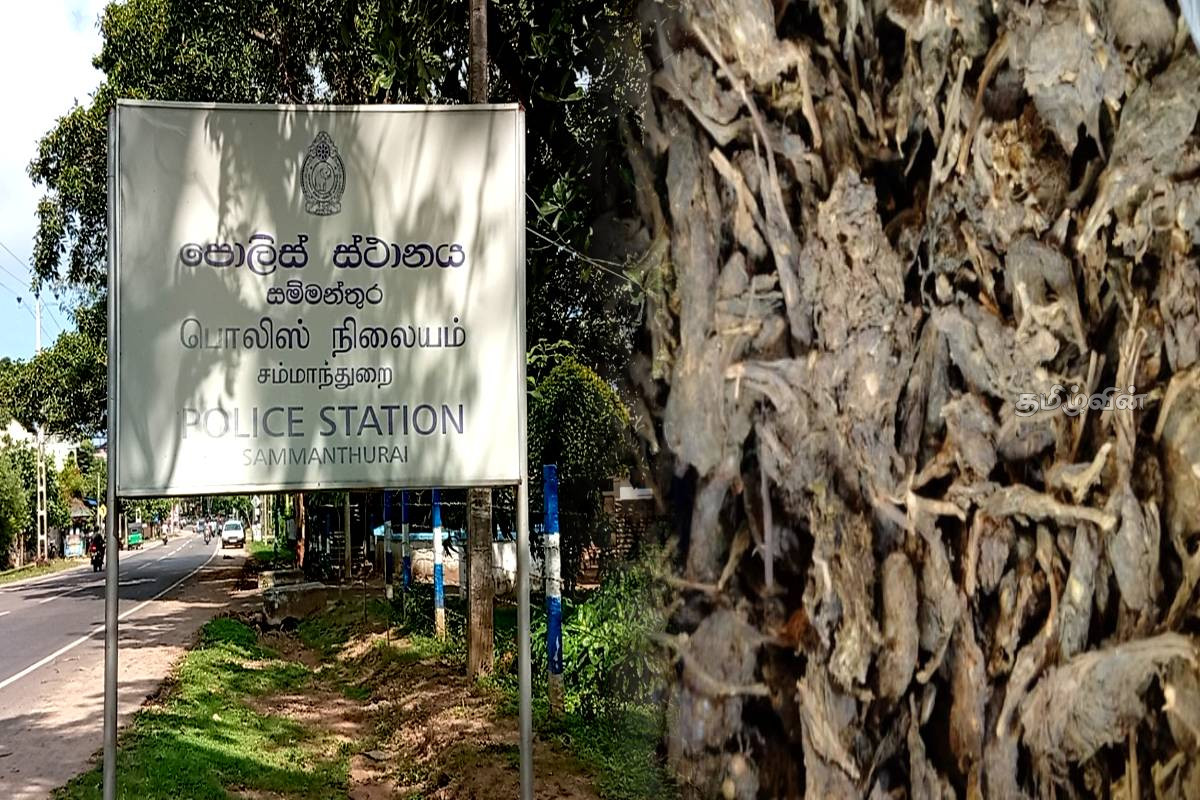 நீண்ட காலமாக தலைமறைவாகியிருந்த சந்தேக நபர் கைது..! 25 வயது இளைஞரிடம் போதை மாத்திரை மீட்பு | Drug Pills Recovered From 25 Year Old Man