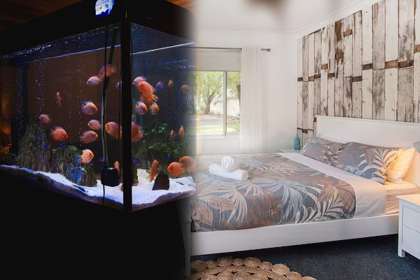 உங்கள் படுக்கையறையில் மறந்தும் இதெல்லாம் வைக்காதீர்கள்; உடனே தூக்கிப்போடுங்கள்! | Never Keep These Things In Your Bedroom Life Sytle