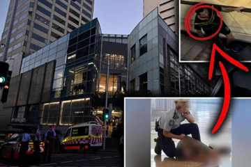 அவுஸ்திரேலியா கத்திகுத்து சம்பவம்: கொலை குற்றவாளி மனநோயாளி என தகவல்