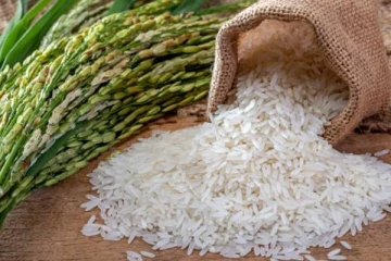 இலங்கைக்கு வரவுள்ள சீன அரிசி தொடர்பில் பெண் எம்பி பரபரப்பு குற்றச்சாட்டு