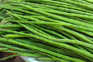 முருங்கைக்காய்க்கு உரிய விலை இன்மையால் அவதிப்படும் உற்பத்தியாளர்கள்