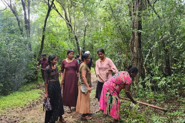 முல்லைத்தீவு மாவீரர் துயிலுமில்லத்தில் சிரமதானம் | Mullaitivu Hero Offers Prayers At Thuylumillam முல்லைத்தீவு மாவீரர் துயிலுமில்லத்தில் சிரமதானம் | Mullaitivu Hero Offers Prayers At Thuylumillam