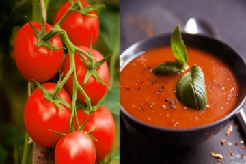 Tomato soup: அனைத்து நோய்களையும் ஓரம் கட்ட வேண்டுமா? இந்த ஒரு சூப் போதும்