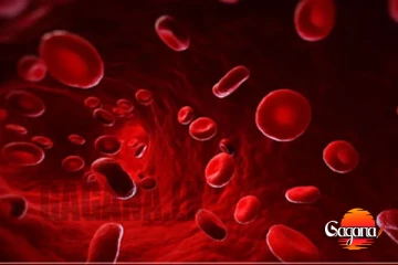 අලුත්ම ලේ වර්ගයක් හමුවෙලා - ලෝකේ වෙන කාටවත්ම නැති වර්ගයක්