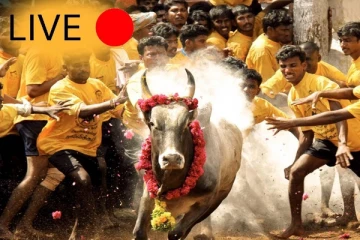 சீறிப்பாயும் காளைகள்: அவனியாபுரம் ஜல்லிக்கட்டு (நேரலை வீடியோ)