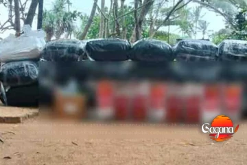 බීඩි කොළ හා විදේශීය දුම්වැටි තොගයක් අත්අඩංගුවට