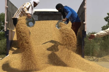 வெளிநாடுகளுக்கு கோதுமை ஏற்றுமதிக்கு மத்திய அரசு தடை..!