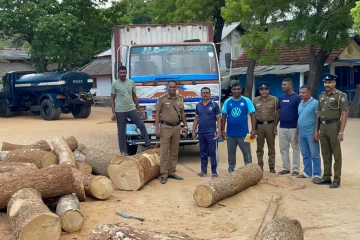 யாழில் பொலிஸாரின் சுற்றிவளைப்பில் பெருமளவு முதிரை மரக்குற்றிகள் மீட்பு: ஒருவர் கைது