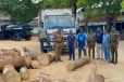 யாழில் பொலிஸாரின் சுற்றிவளைப்பில் பெருமளவு முதிரை மரக்குற்றிகள் மீட்பு: ஒருவர் கைது