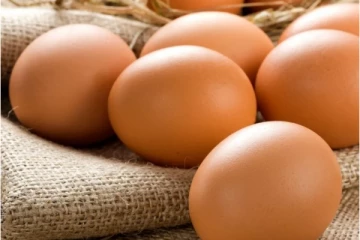 முட்டை விலையின் எதிரொலி:வியாபாரிகள் எடுத்துள்ள அதிரடி தீர்மானம்