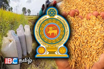 நெல் கொள்வனவிற்கு சலுகை வட்டி வீதத்தில் கடன் வழங்க அமைச்சரவை அனுமதி