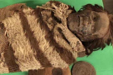 1000 வருட பழைய மம்மி தலையில் உயிருடன் இருந்தது என்ன? அதிர்ந்த ஆராய்ச்சியாளர்கள்....எதிர்பார்க்காத ட்விஸ்ட்