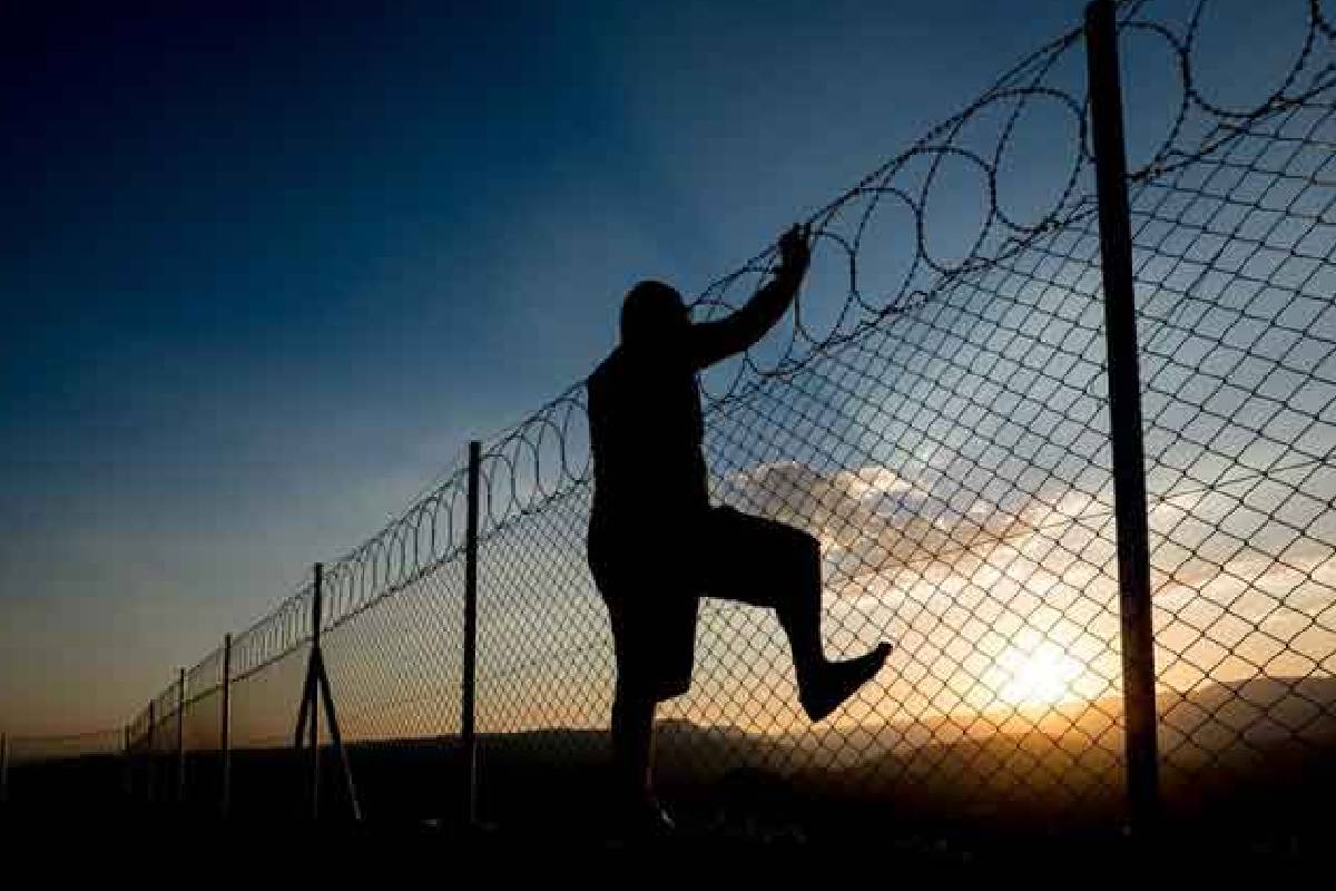 சிறையில் இருந்து கைதி தப்பியோட்டம் ; பொலிஸார் தீவிர வேட்டை | Prisoner Escapes Prison Police Launch Intensive