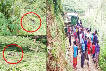 60 அடி பள்ளத்தில் கவிழ்ந்த தொழிற்சாலை வாகனம்: சாரதி வைத்தியசாலையில் அனுமதி!