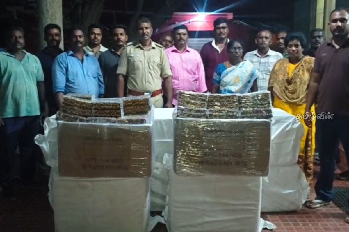 இலங்கைக்கு கடத்துவதற்காக கொண்டு வரப்பட்ட வலி நிவாரணி மாத்திரைகள் பறிமுதல் | Painkiller Tablets Seized One Arrested