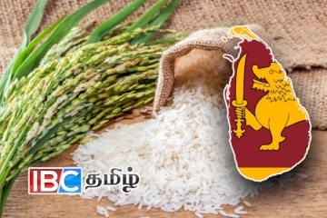 அரிசி பிரச்சினைக்கு விரைவில் தீர்வு! விவசாய அமைச்சு வழங்கிய உறுதி