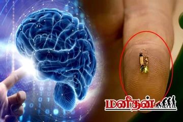 அரிசி விட சிறிய மூளை சிப் கண்டுபிடிப்பு- மருத்துவ துறையில் புதிய புரட்சி