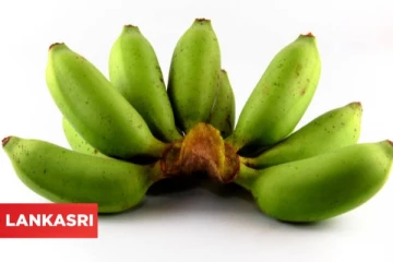 மலச்சிக்கல் பிரச்சினைக்கு வாரத்திற்கு 4 முறை இந்த காயை சமைத்து சாப்பிடுங்க