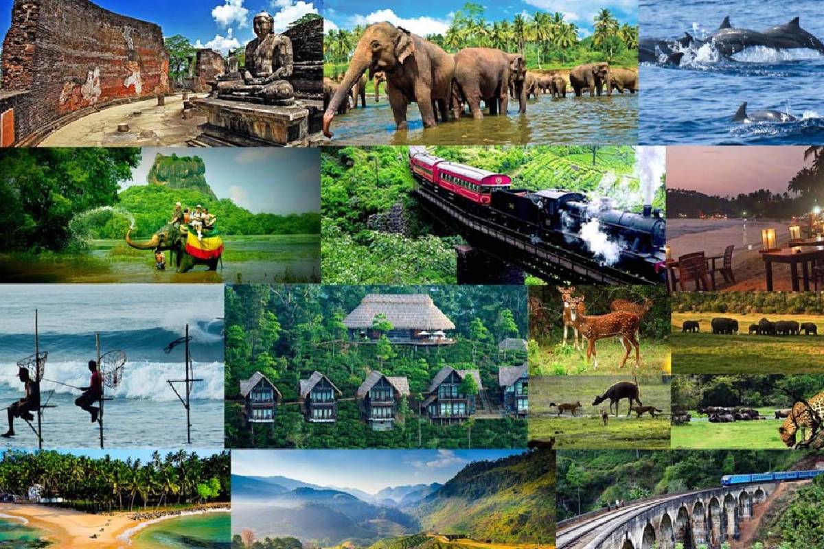 வடமராட்சி கிழக்கு பிரதேச ஒருங்கிணைப்பு குழு கூட்டத்தில் பலத்த வாத பிரதிவாதம் | Strong Arguments At Vadamaratchi East Meeting