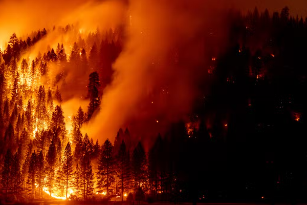 நடப்பாண்டில் அமெரிக்காவில் ஏற்பட்ட பாரிய அனர்த்தம்! | A Major Disaster In The United States This Year