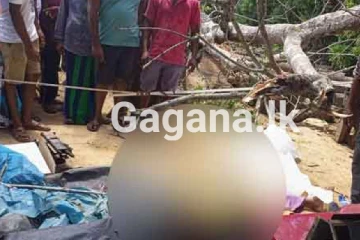 අවසනාවන්ත ලෙස ගසක් කඩා වැටී තිදෙනෙකු ජීවිතක්ෂයට - දෙදෙනෙක් රෝහලේ..!