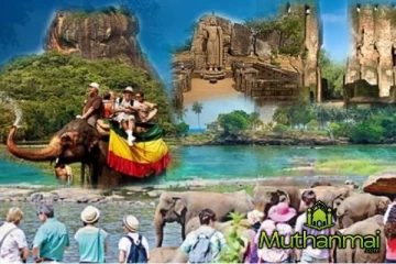 இலங்கைக்கு வரும் சுற்றுலாப்பயணிகள் தொடர்பில் வெளியான தகவல்