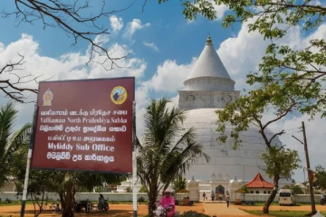 தையிட்டி தொடர்பில் தென்னிலங்கை ஊடகங்களில் சிங்களத்தில் விளம்பரம்!