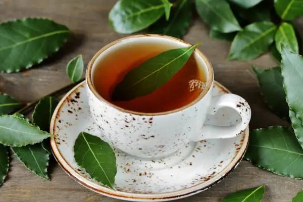 ஹனிமூனுக்கு மார்டன் உடையில் நயன்.. உடல் எடையை வேகமாக குறைக்கும் இலை! செய்தி பார்வை | Vignesh Shivan Shared New Honeymoon Viral News