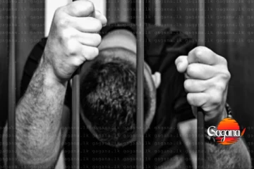 ප්‍රසිද්ධ පාසලක සිසුවා අපයෝජනය කළ ගුරුවරා රිමාන්ඩ් හංගපු ප්‍රින්සිපල්ට ඇප - මීට කළිනුත් පැමිණිලි තිබිලා