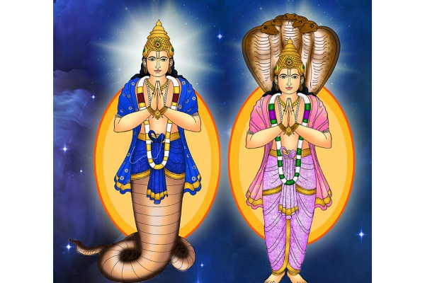 அழிவு கிரகங்களான ராகு - கேது பெயர்ச்சியால் ரிஷபத்திற்கு ஏற்பட போகும் நல்ல மாற்றங்கள்!  வெற்றி மேல் வெற்றி தான் | Aurus Zodiac Rahu Ketu Transit 2022 Rishabam