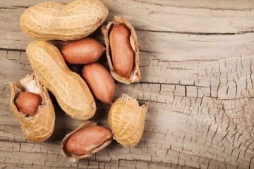 இந்த 8 பிரச்சனை இருப்பவர்கள் வேர்க்கடலையை அளவாக சாப்பிடுங்க..! மீறினால் ஆபத்தாம்