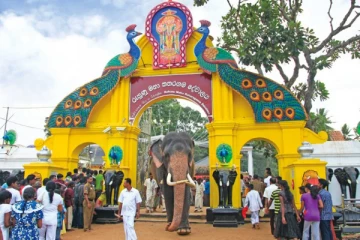 கதிர்காமம் தொடர்பில் முடுக்கிவிடப்பட்ட விசாரணை!