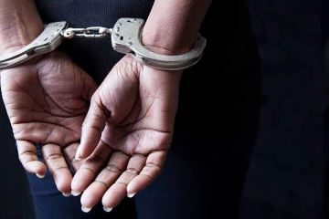 அமெரிக்காவில் வேலைவாய்ப்பு: தமிழர் பகுதியில் பண மோசடி செய்து சிக்கிய பெண்