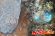 இலங்கையில் அதிசயமான தோன்றிய பாரிய இரத்தினகல் பாறை - பொலிஸார் தீவிர பாதுகாப்பு