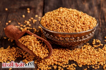 இந்த 5 பேரும் தவறுதலாக கூட வெந்தயத்தை சாப்பிடக்கூடாது: இதனால் தீங்கு என்ன?