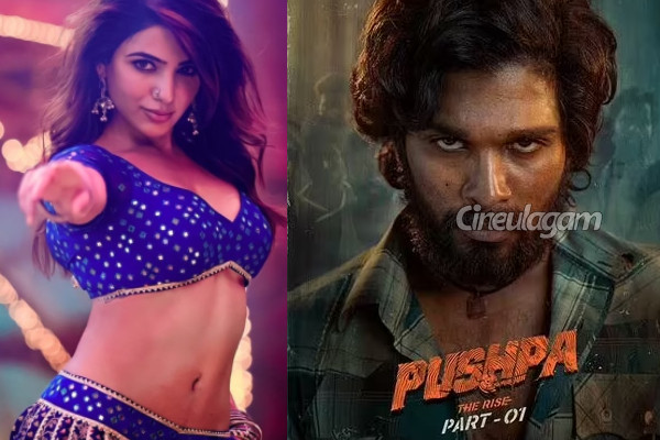 புஷ்பா 2 படத்தின் வாய்ப்பை நிராகரித்த சமந்தா.. இது தான் காரணமா? | Samantha Said No To Pushpa 2 Movie