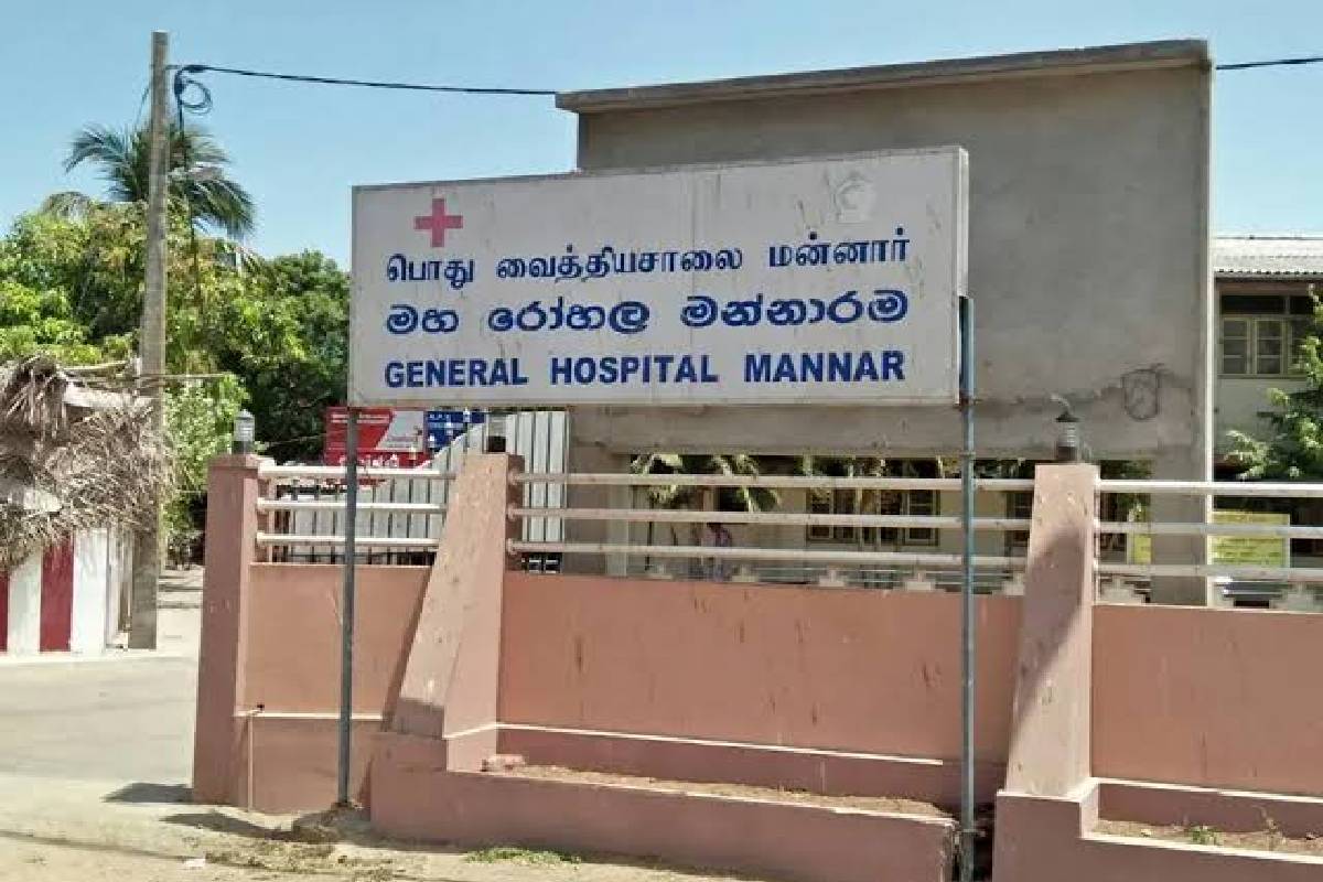 மன்னார் கடற்கரையிலும் ஆணின் சடலம் மீட்பு | Mans Body Recovered From Mannar Beach
