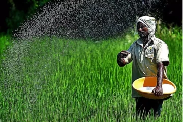 மீண்டும் யூரியா உரத்தை இறக்குமதி செய்ய நடவடிக்கை!