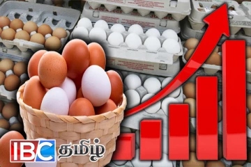 மீண்டும் உயர்ந்த முட்டை விலை