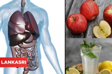 உடலின் மூலை முடுக்குகளில் தேங்கியுள்ள நச்சுக்களை வெளியேற்ற வேண்டுமா? இவற்றை எடுத்து கொண்டாலே போதும்!