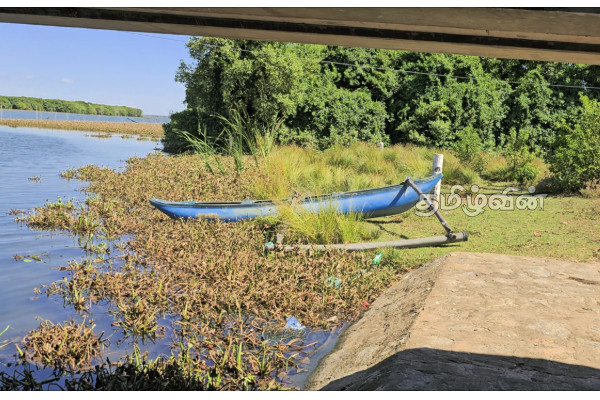 மட்டக்களப்பு வாவியில் மூழ்கி குடும்பஸ்தர் பலி | Family Member Dies After Drowning In Batti
