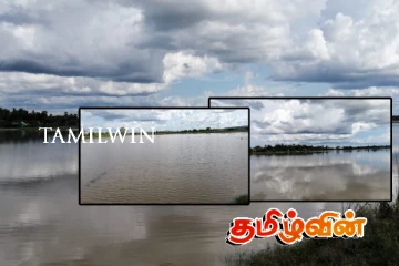 கனமழையால் வெள்ளத்தில் மூழ்கிய வயல் நிலங்கள்