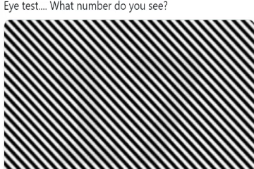 Optical illusion: இந்த படத்தில் மறைக்கப்பட்ட இரண்டு இலக்கங்கள் என்ன?
