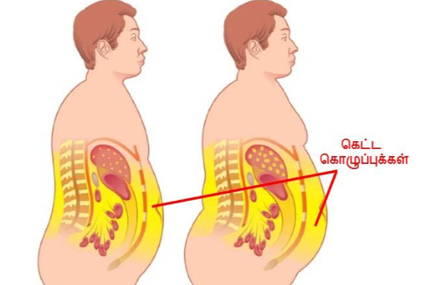 உடம்பில் கெட்ட கொழுப்பினை அடியோடு அகற்ற வேண்டுமா? இதை செய்தாலே போதும் | Stomach Fat Reduce Some Home Tips In Tamil
